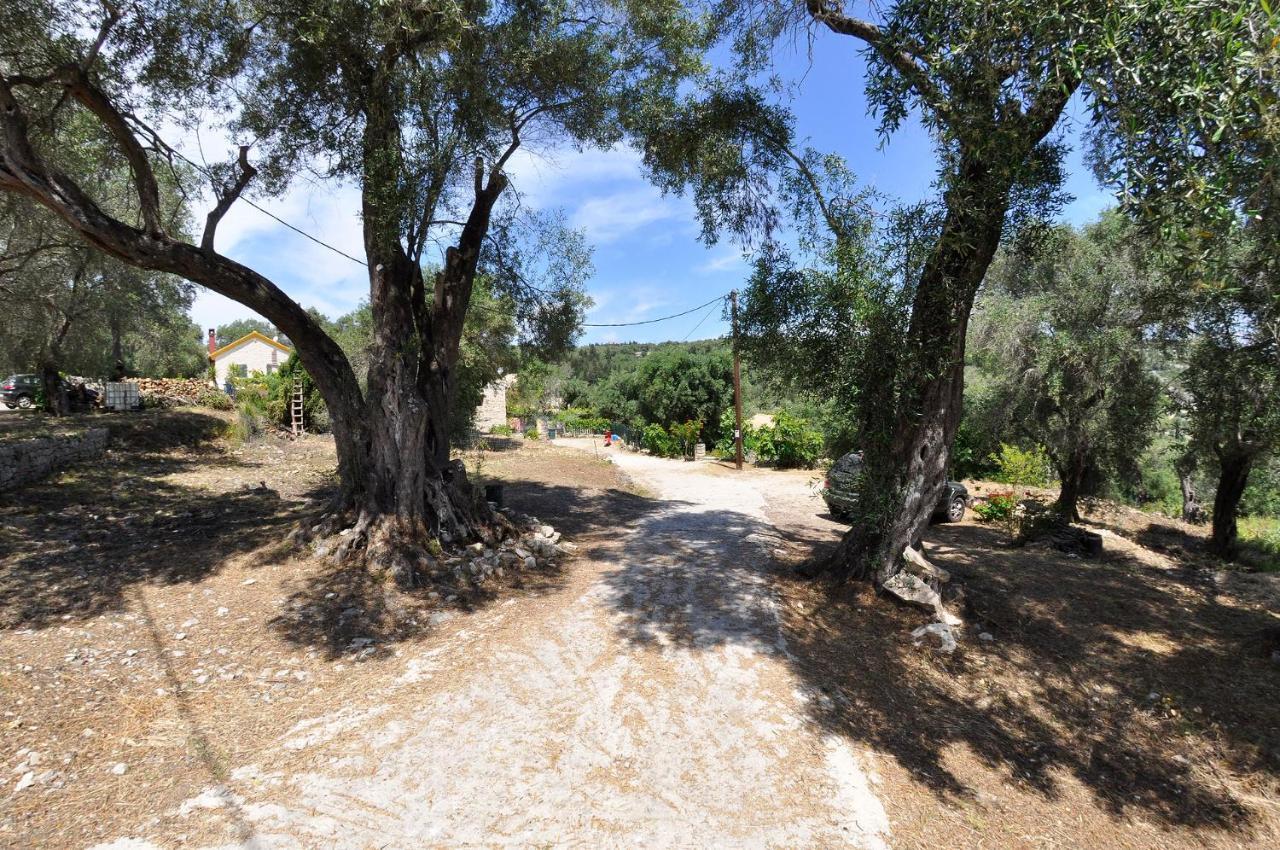 Adamantia Hotel Gaios Bagian luar foto